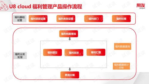U8Cloud實施工具與薪酬福利管理 非學歷職業(yè)技能培訓(xùn)的文檔資源指南