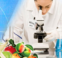 山東檢驗檢疫局食品農產品檢測中心 黨員技術服務熱線，筑牢食品安全防線